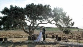 cyprus-wedding24